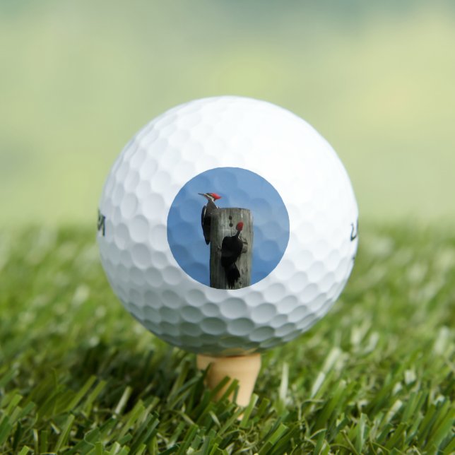 Woodpecker on a Pole Photo Golf Balls (Insitu Tee)