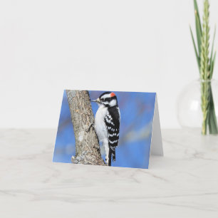 Woodpecker on a Shagbark tree blank inside Card