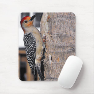 Woodpecker Portrait Mouse Mat