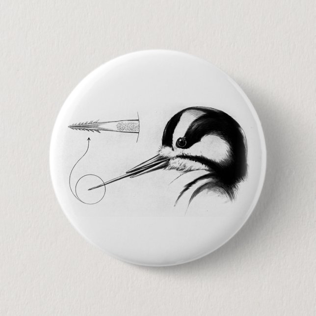 Woodpecker Tongue Anatomy 6 Cm Round Badge (Front)