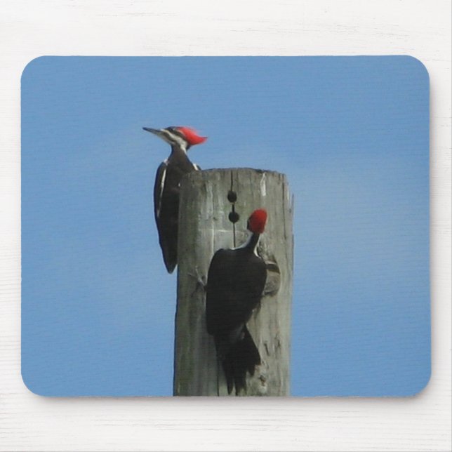 Woodpeckers Bird Mousepad (Front)