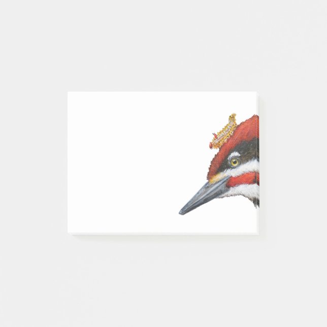 Woodrow the pileated woodpecker notes (Front)