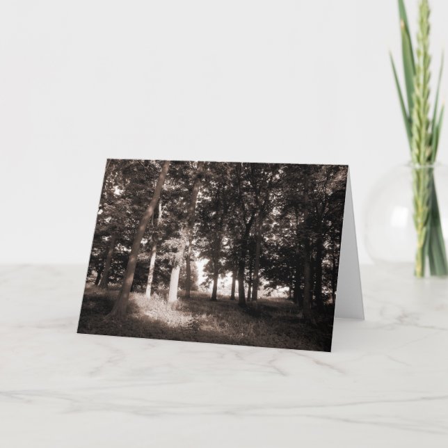 Woods Bute Park, Cardiff II Card (Front)