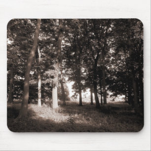 Woods Bute Park, Cardiff II Mouse Mat