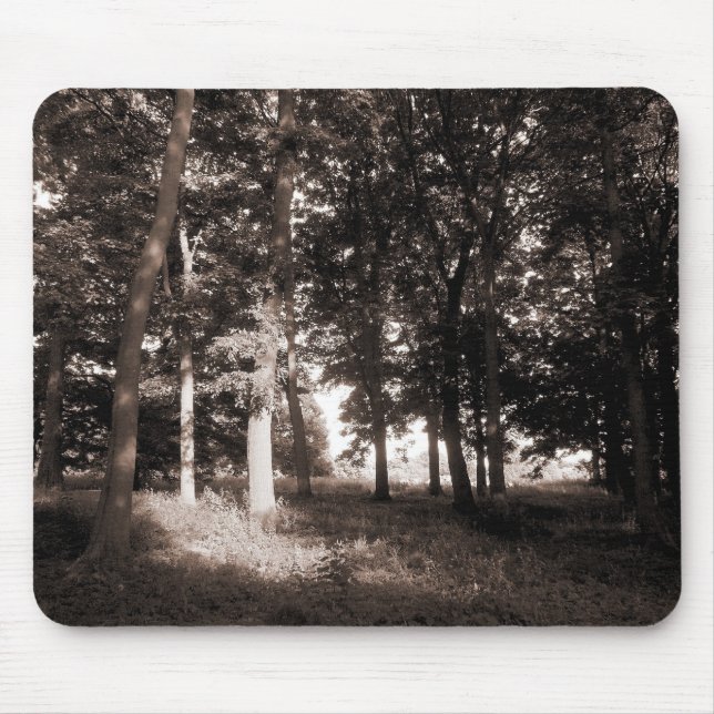 Woods Bute Park, Cardiff II Mouse Mat (Front)