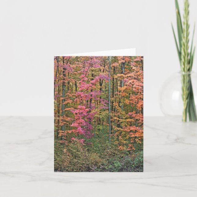 "WOODS IN AUTUMN" NOTECARD (Front)
