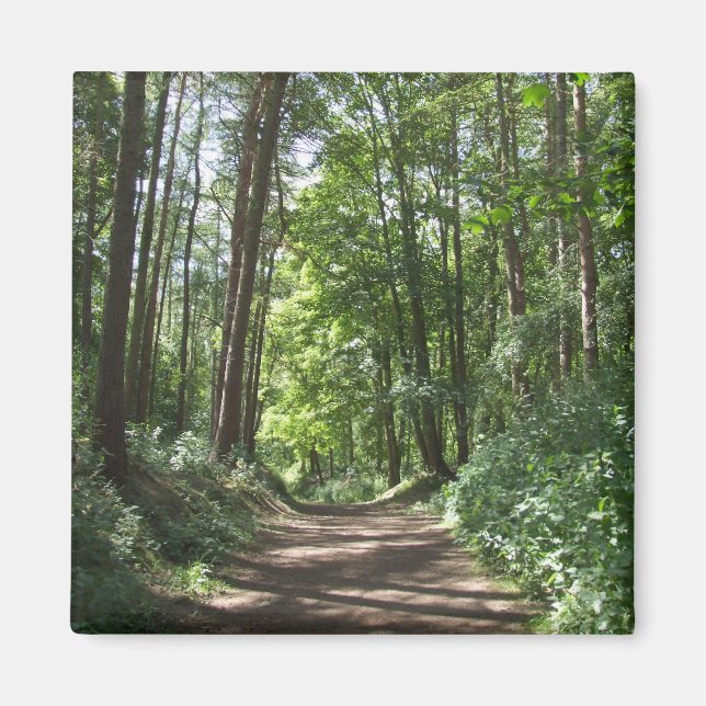 Woods Magnet (Front)