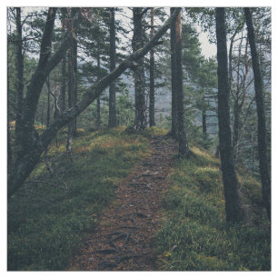 Woods Themed, Path Winds Through A Forest Of Trees Fabric