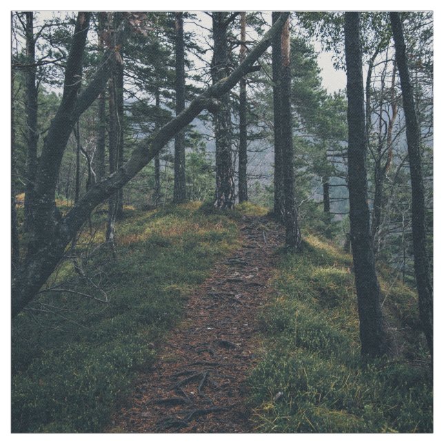 Woods Themed, Path Winds Through A Forest Of Trees Fabric (Swatch)