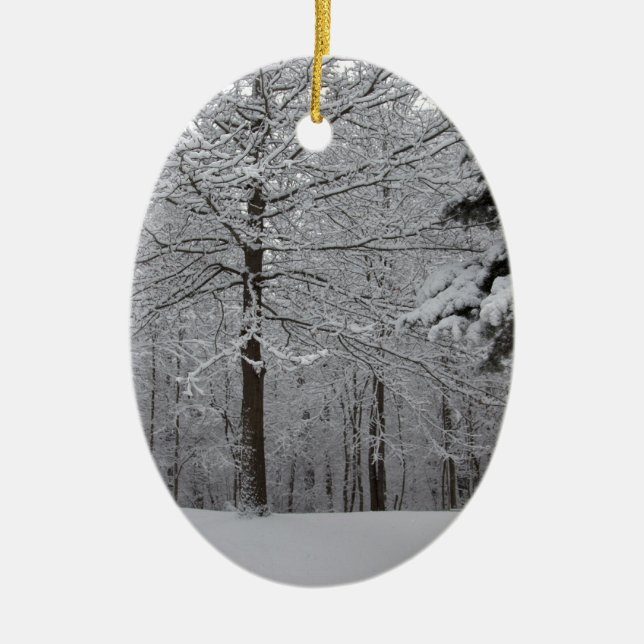 Woods View Ceramic Tree Decoration (Front)