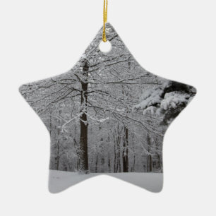 Woods View Ceramic Tree Decoration