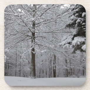Woods View Coaster
