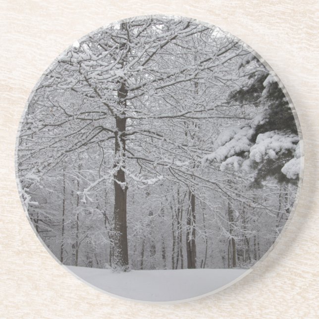 Woods View Coaster (Front)