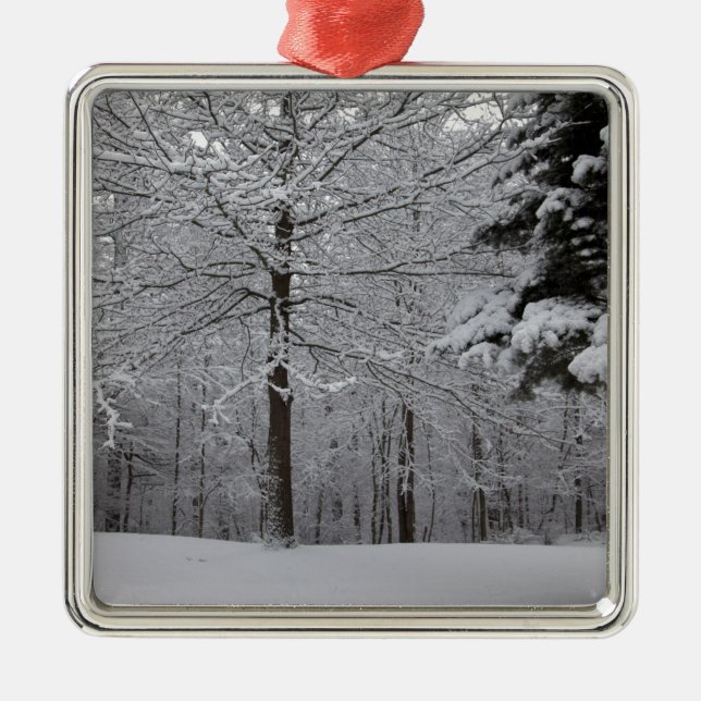 Woods View Metal Tree Decoration (Front)