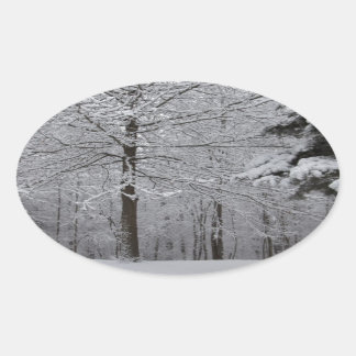 Woods View Oval Sticker