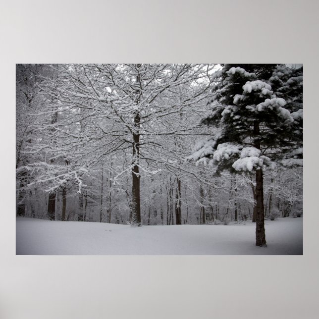 Woods View Poster (Front)