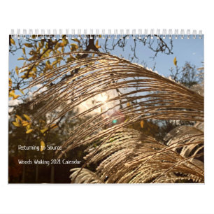 Woods Walking Inspirations 2021 Calendar