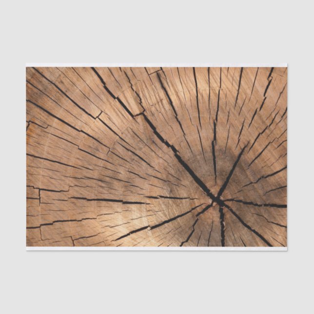 Woodsmen Slice Tissue Paper (Front)