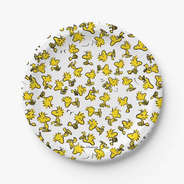 Woodstock Classic Design Pattern Paper Plate (Front)