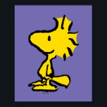 Woodstock Classic Design Poster<br><div class="desc">Take a look at this super cute design featuring Woodstock in a classic pattern.</div>