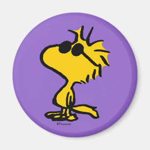 Woodstock Cool Sunglasses Magnet