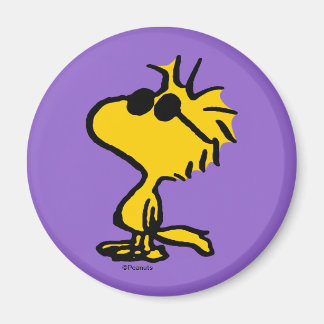 Woodstock Cool Sunglasses Magnet
