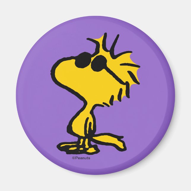 Woodstock Cool Sunglasses Magnet (Front)