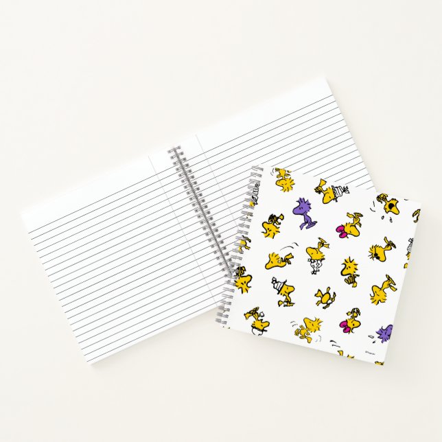 Woodstock Fun Pattern Notebook (Inside)