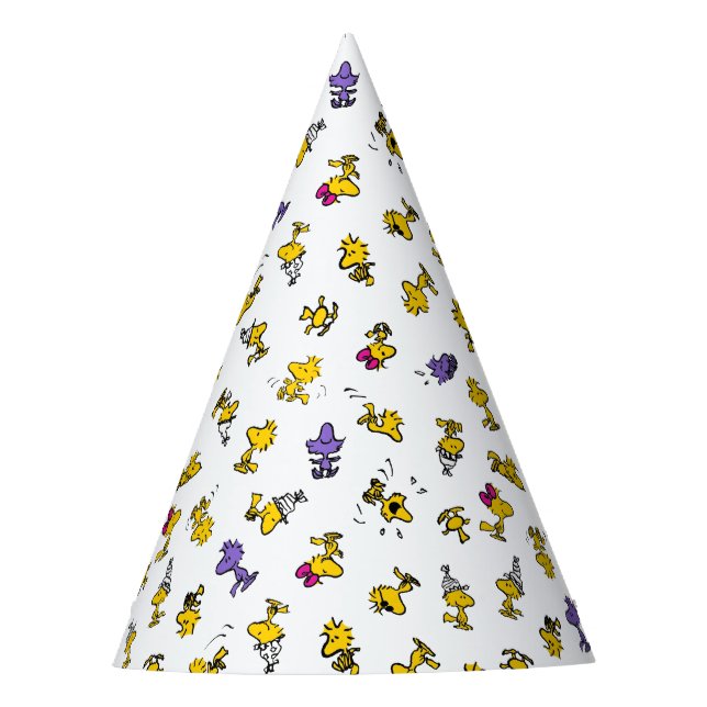 Woodstock Fun Pattern Party Hat (Front)