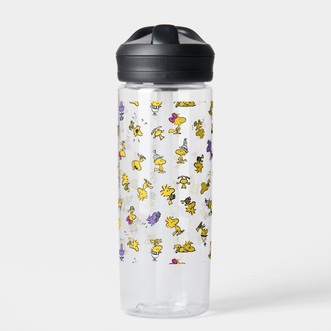 Woodstock Fun Pattern Water Bottle (Front)