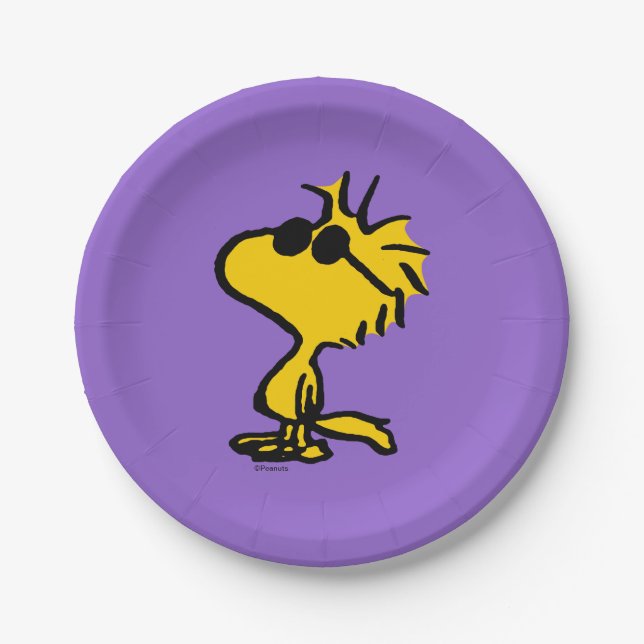 Woodstock In Sunglasses Paper Plate (Front)