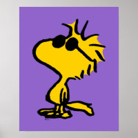 Woodstock In Sunglasses