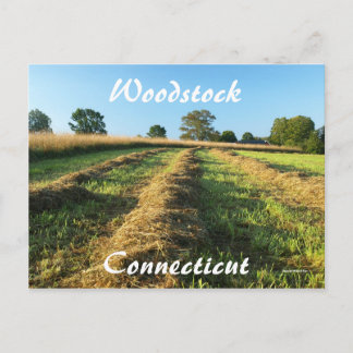 Woodstock Postcard