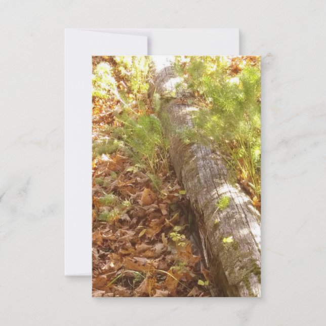 Woodsy Log Note Card (Front)