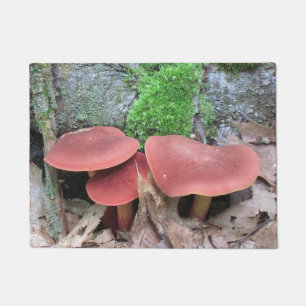 Woodsy Mushroom Doormat