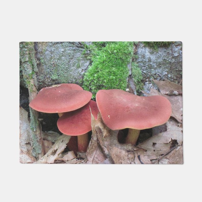 Woodsy Mushroom Doormat (Front)