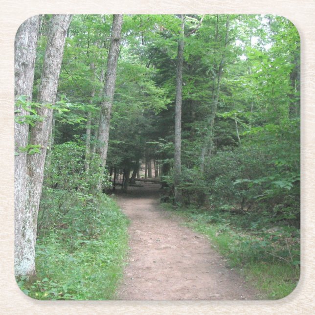 Woodsy Path Party Coaster (Front)