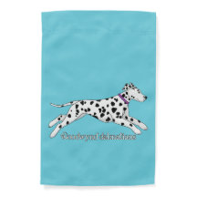 Woodwynd Dalmatians black & liver