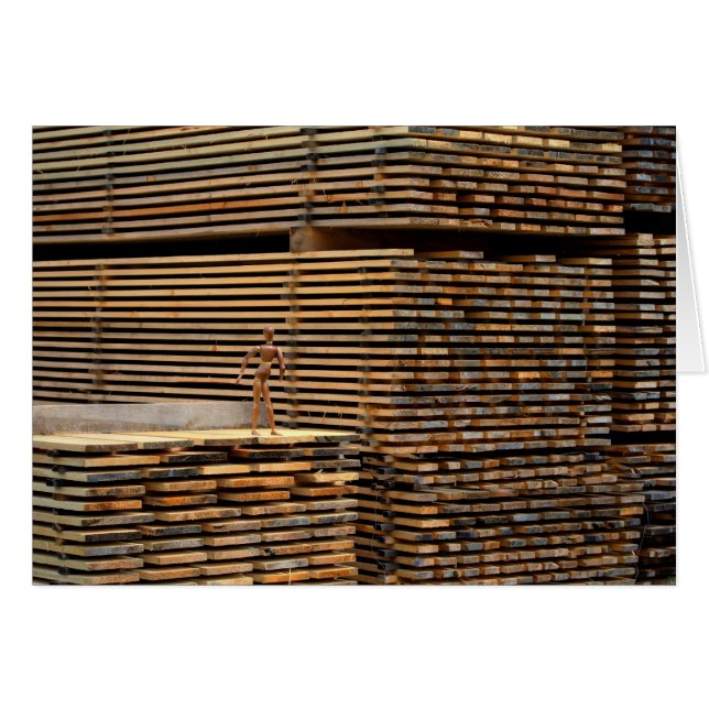 Woody Back To The Roots (Front Horizontal)