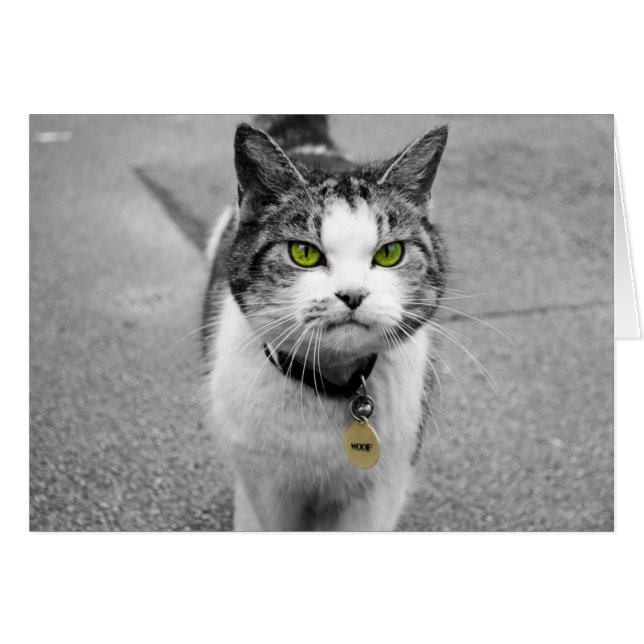 Woof (Front Horizontal)