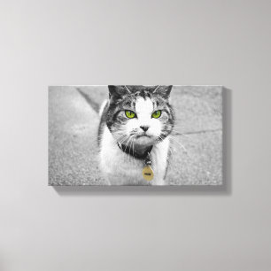 Woof Canvas Print