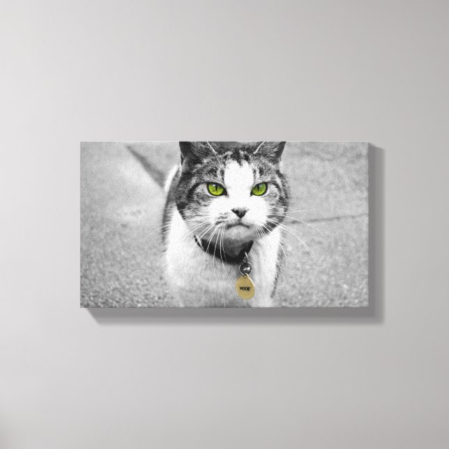 Woof Canvas Print (Front)