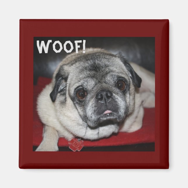 Woof, Pug Magnet (Front)