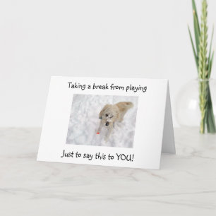 WOOF WOOF "50" LOOKS GOOD ON "YOU" BIRTHDAY CARD