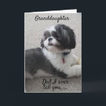 *WOOF WOOF* HAPPY *BIRTHDAY* TO MY *GRANDDAUGHTER* CARD<br><div class="desc">TO THE **BEST GRANDDAUGHTER EVER*** HAPPY BIRTHDAY AND I AM SO HAPPY YOU ARE "MY BROTHER"!!!! THANK YOU FOR STOPPING BY ONE OF MY EIGHT STORES!!!</div>