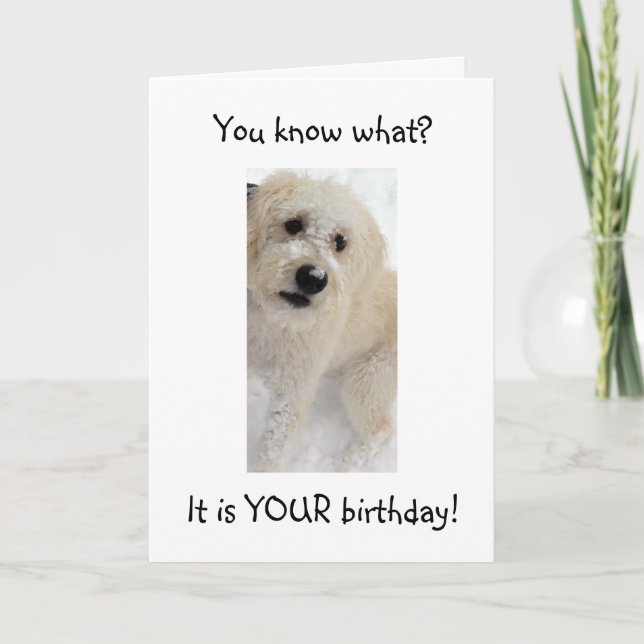 WOOF WOOF-YOU LOOK GOOD FOR "40" CARD (Front)