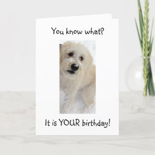 WOOF WOOF-YOU LOOK GOOD FOR "40" CARD