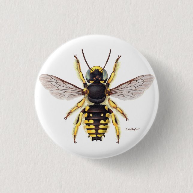 wool carder bee button (Front)