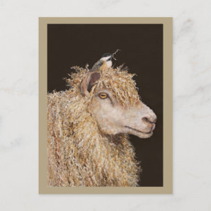 Wool gatherer postcard