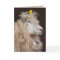 Wool Nesters card